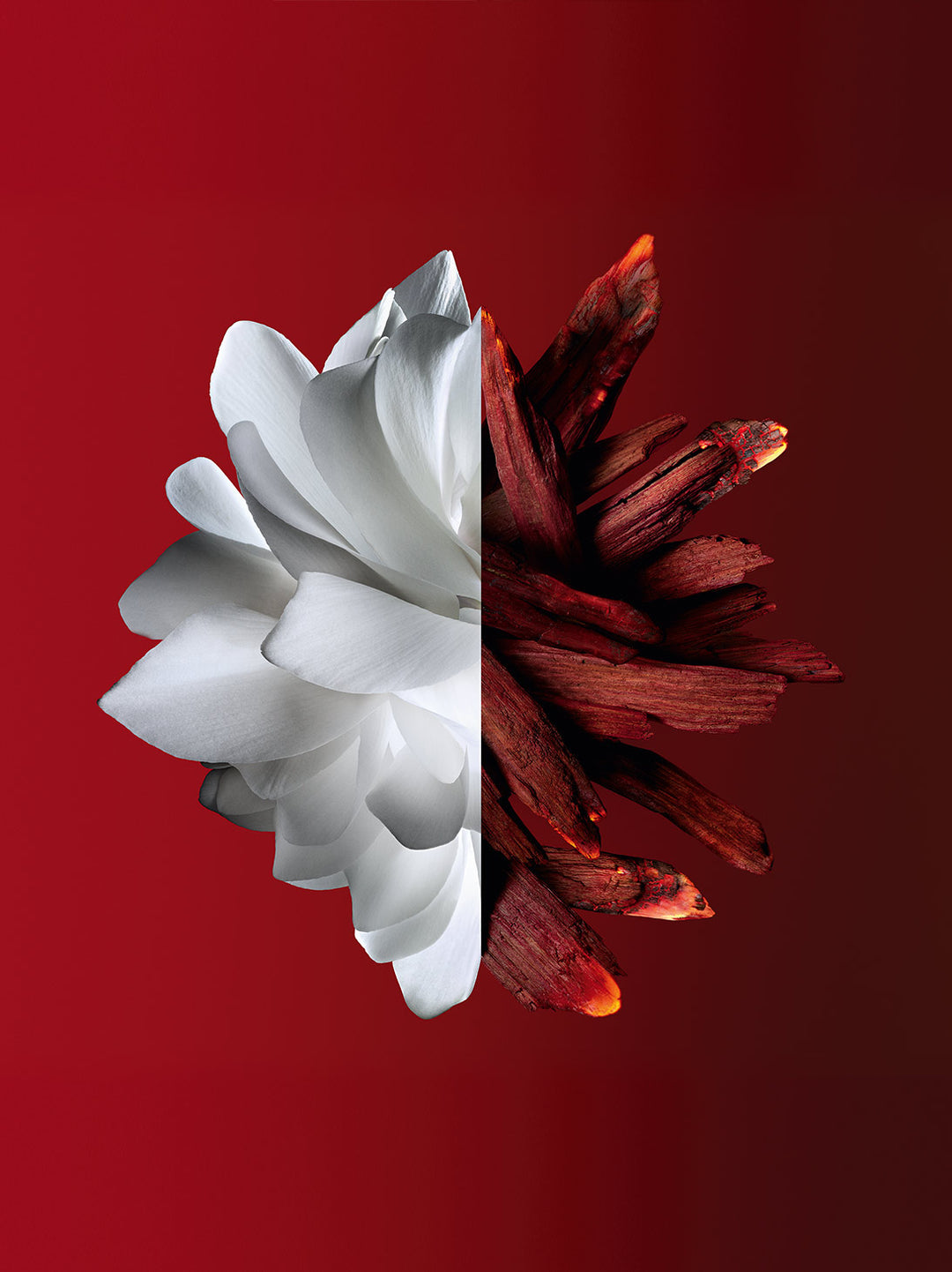 Nước Hoa GIVENCHY L'interdit Rouge Eau de Parfum #50 mL