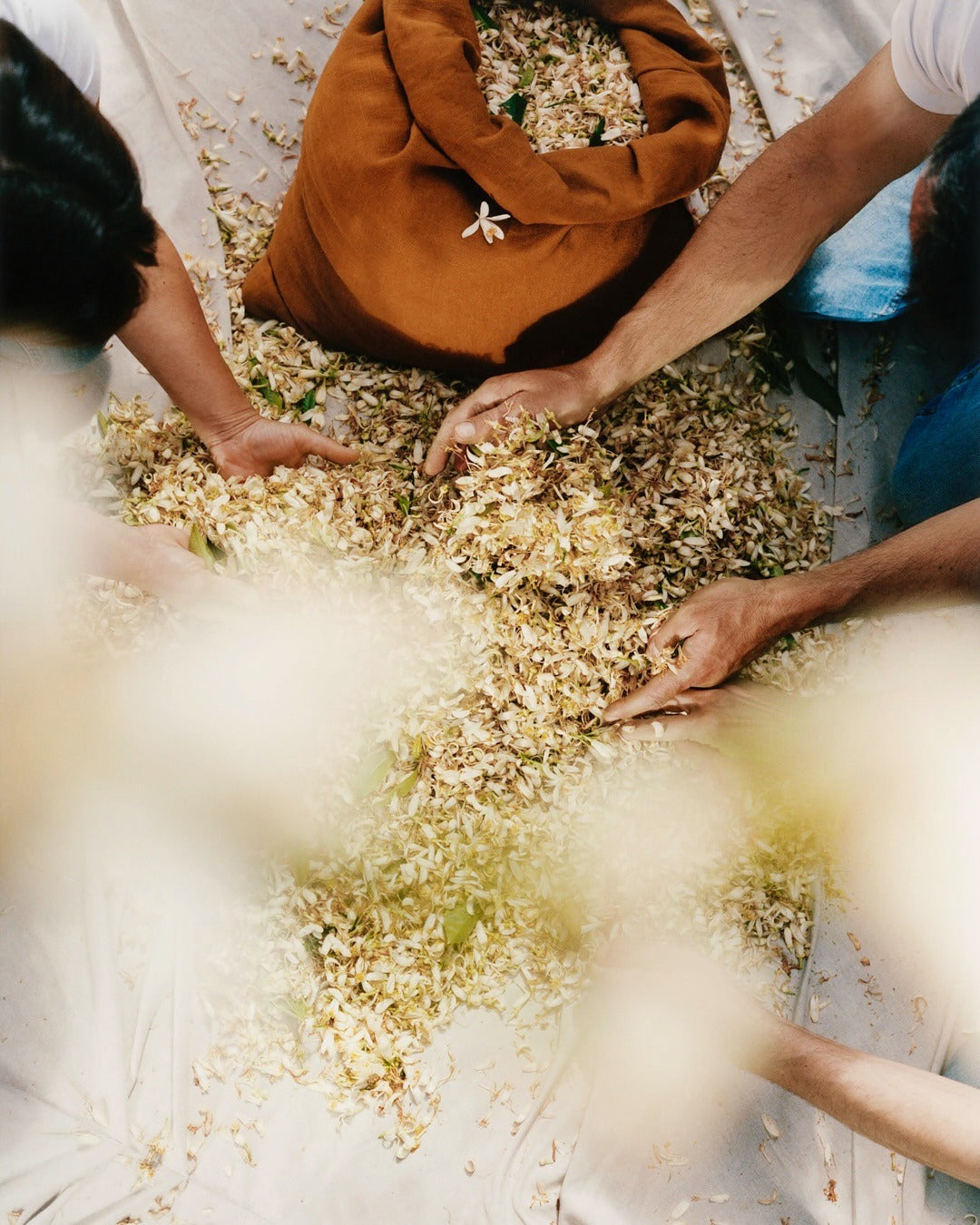 Nước Hoa GUCCI Fiori di Neroli Eau de Parfum