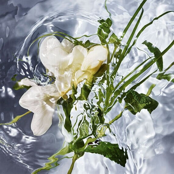 Nước Hoa GUERLAIN Aqua Allegoria Herba Fresca Eau de Toilette