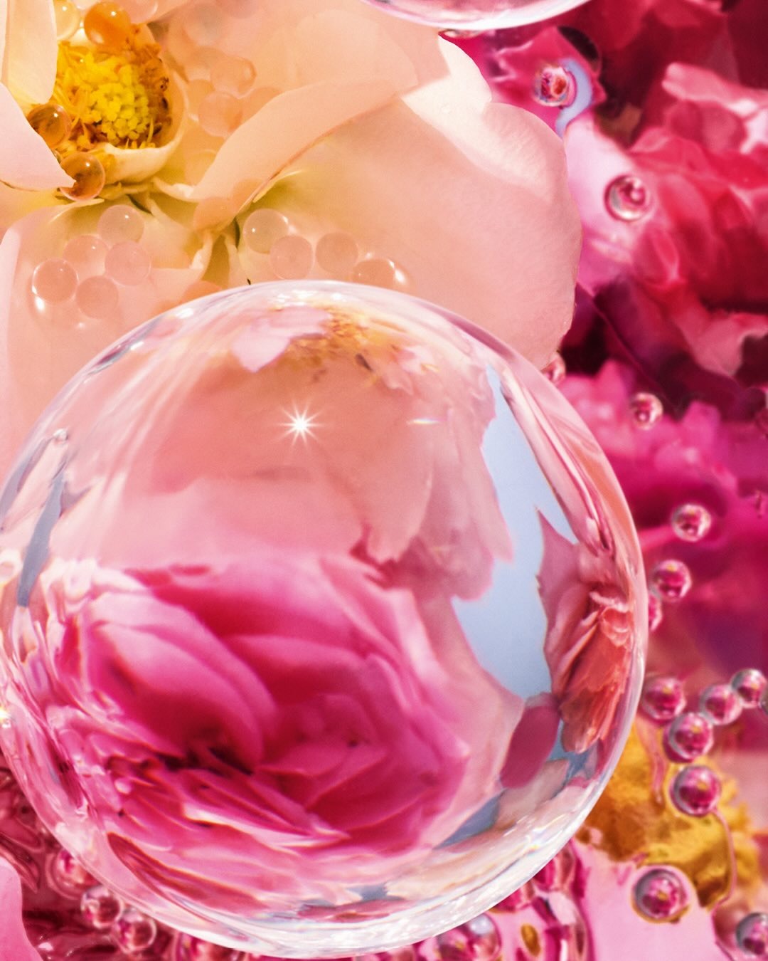 Nước Hoa GUERLAIN Aqua Allegoria Perle Rosa Rossa Eau De Parfum