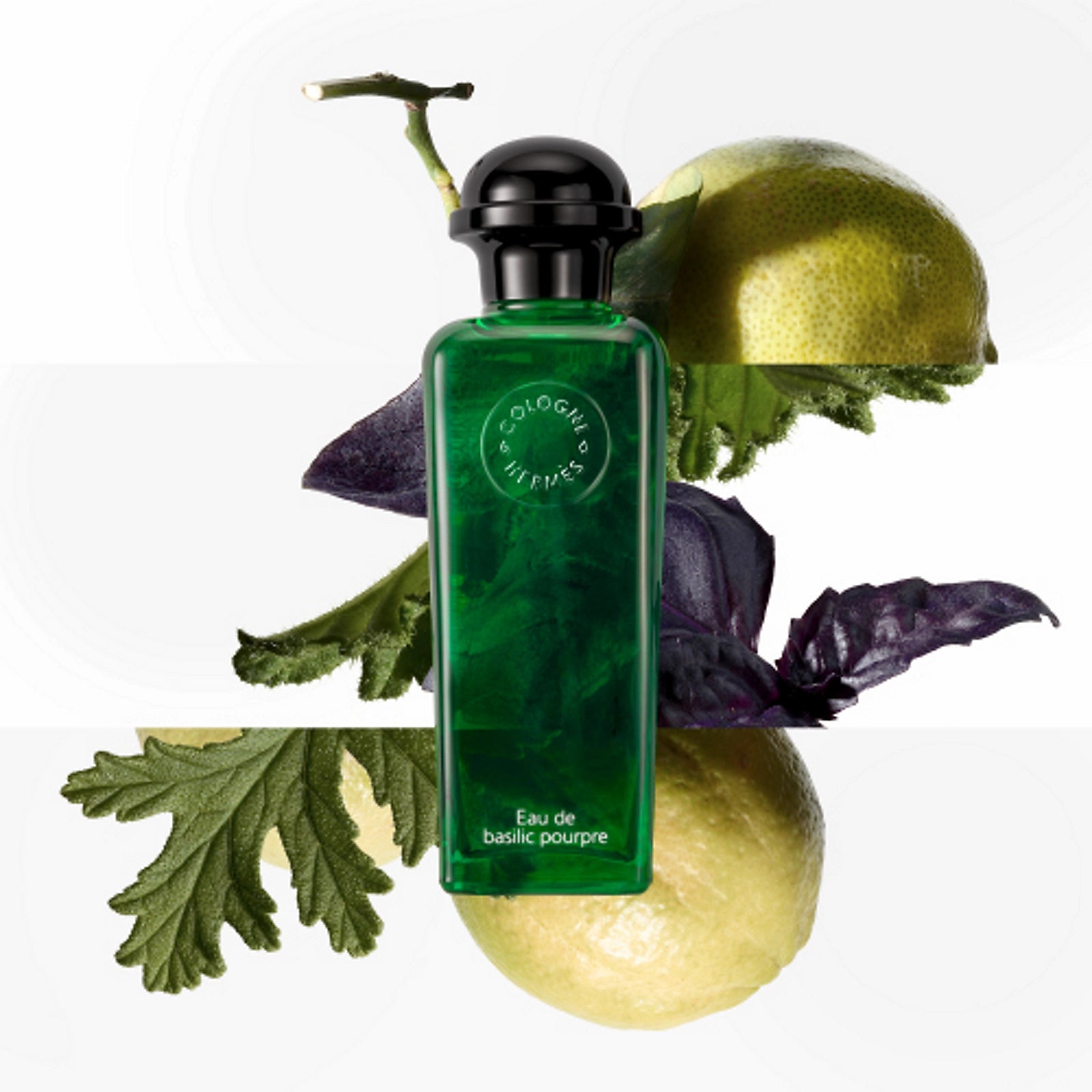 Nước Hoa HERMÈS Eau de Basilic Pourpre Eau de Cologne #100 mL - Kallos Vietnam