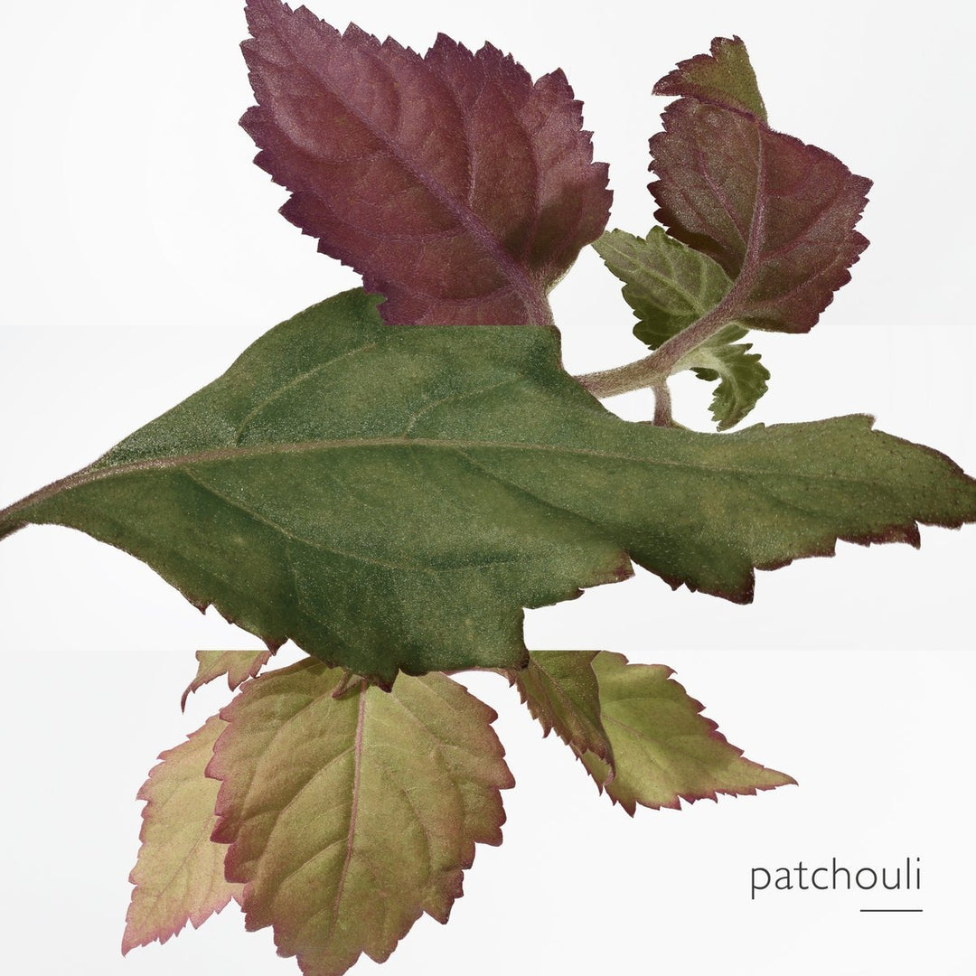 Nước Hoa HERMÈS Eau des Merveilles Bleue Eau de Toilette #30 mL