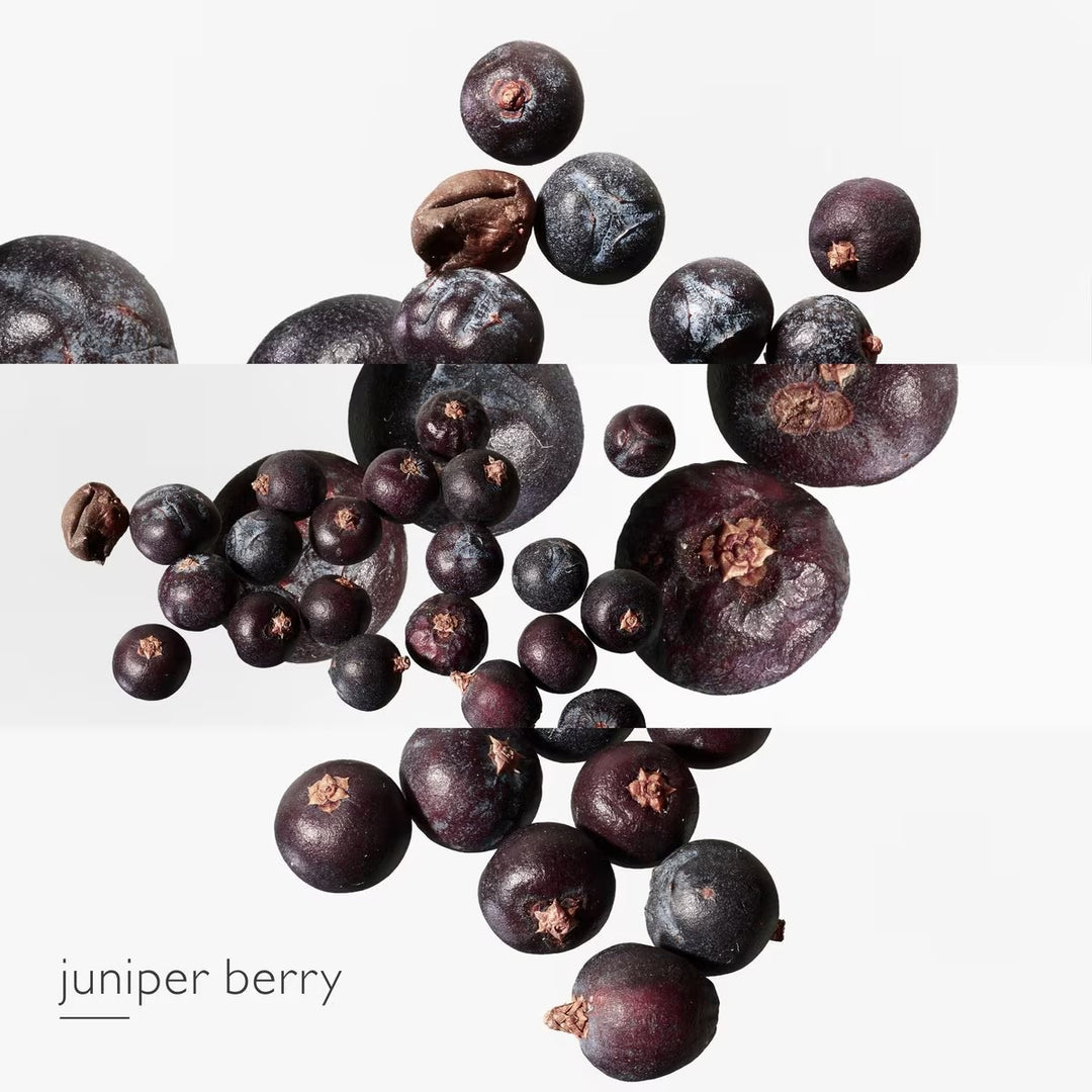 Nước Hoa HERMÈS Eau des Merveilles Bleue Eau de Toilette #30 mL