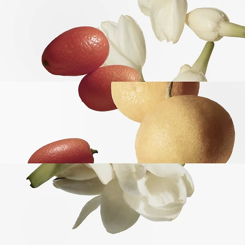 Nước Hoa HERMÈS Le Jardin de Monsieur Li Eau de Toilette #30 mL