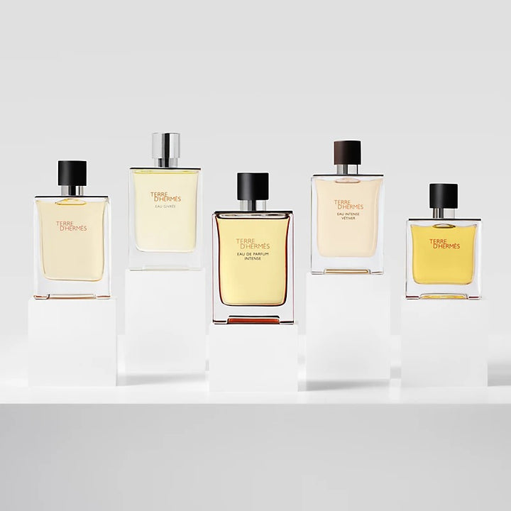 HERMES Terre d&