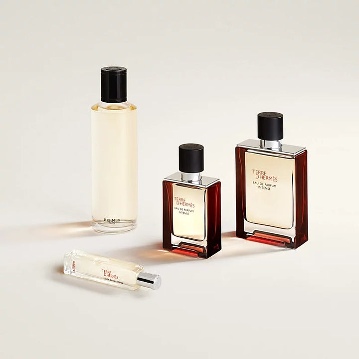 HERMES Terre d&
