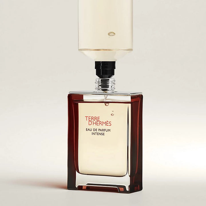 HERMES Terre d&