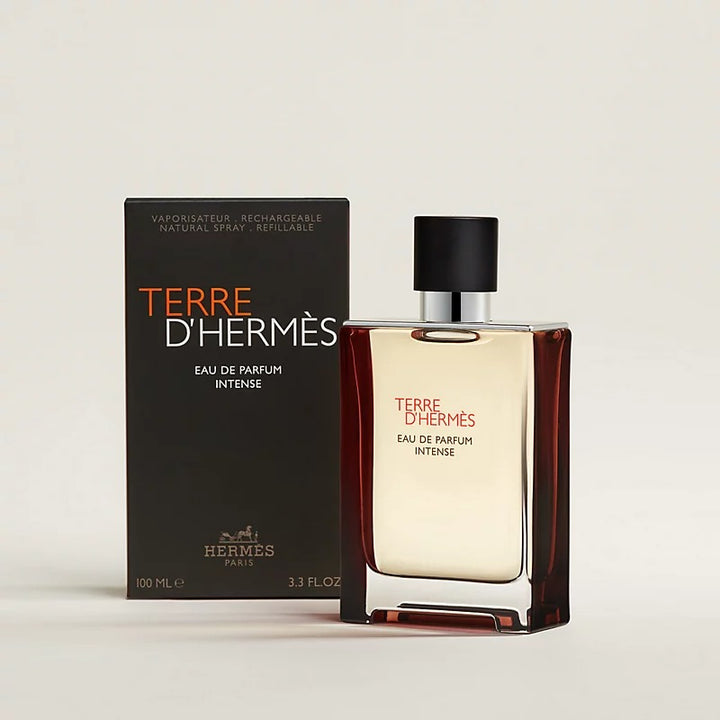 HERMES Terre d&