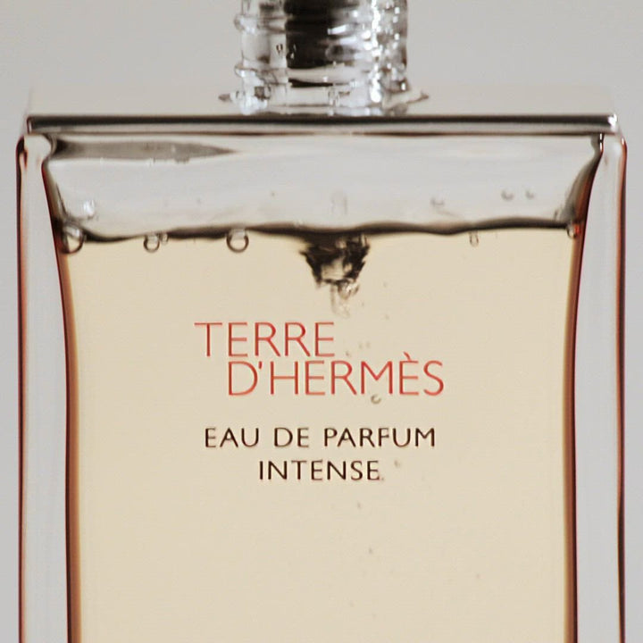 HERMES Terre d&