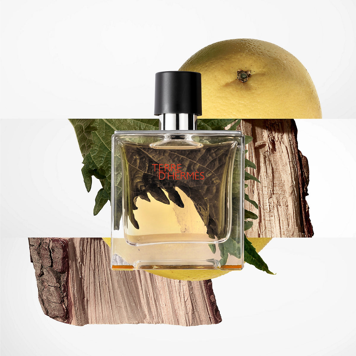 Nước Hoa HERMÈS Terre d'Hermes Eau de Toilette #100 mL - Kallos Vietnam