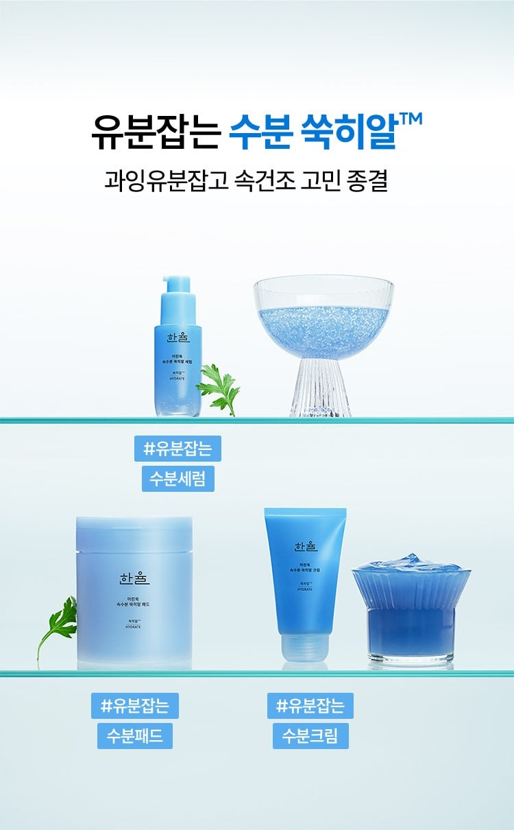Nước Hoa Hồng HANYUL Artemisia Hydrating Toner Pads-Kallos