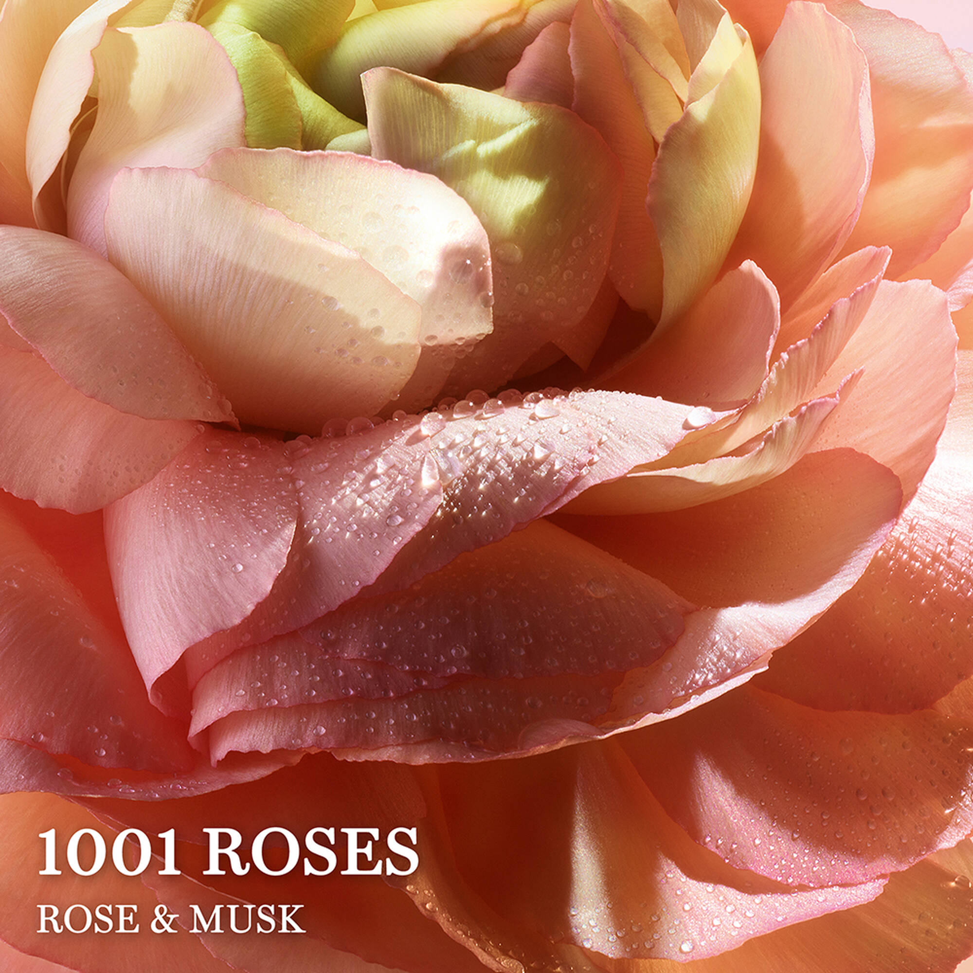 Nước Hoa LANCÔME Absolue 1001 Roses #100 mL - Kallos Vietnam