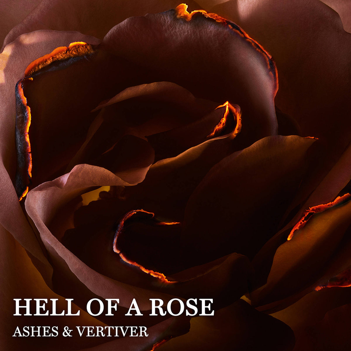 Nước Hoa LANCÔME Absolue Hell Of A Rose #100 mL