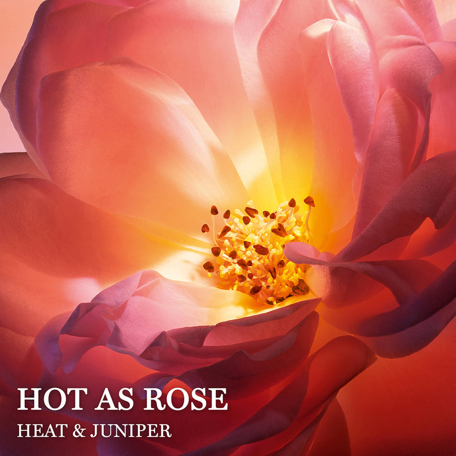 Nước Hoa LANCÔME Absolue Hot As Rose #100 mL