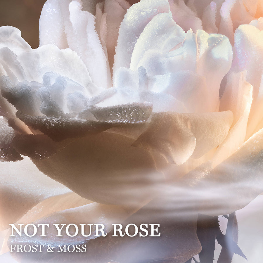 Nước Hoa LANCÔME Absolue Not Your Rose #100 mL