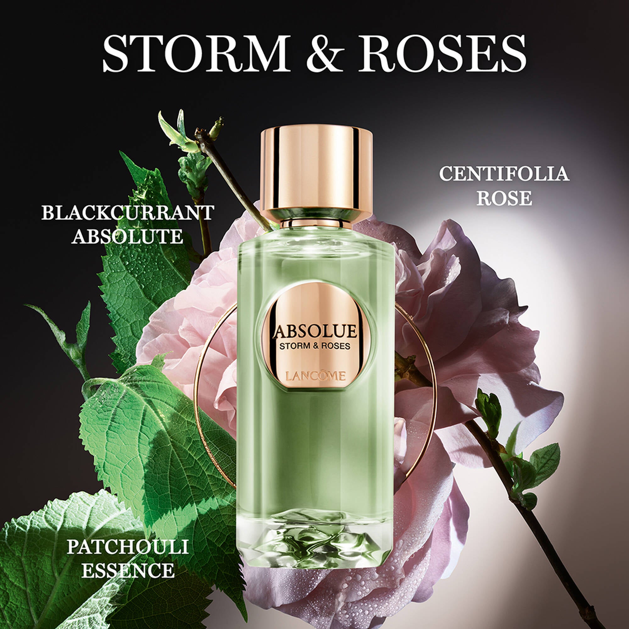 Nước Hoa LANCÔME Absolue Storm & Roses #100 mL - Kallos Vietnam