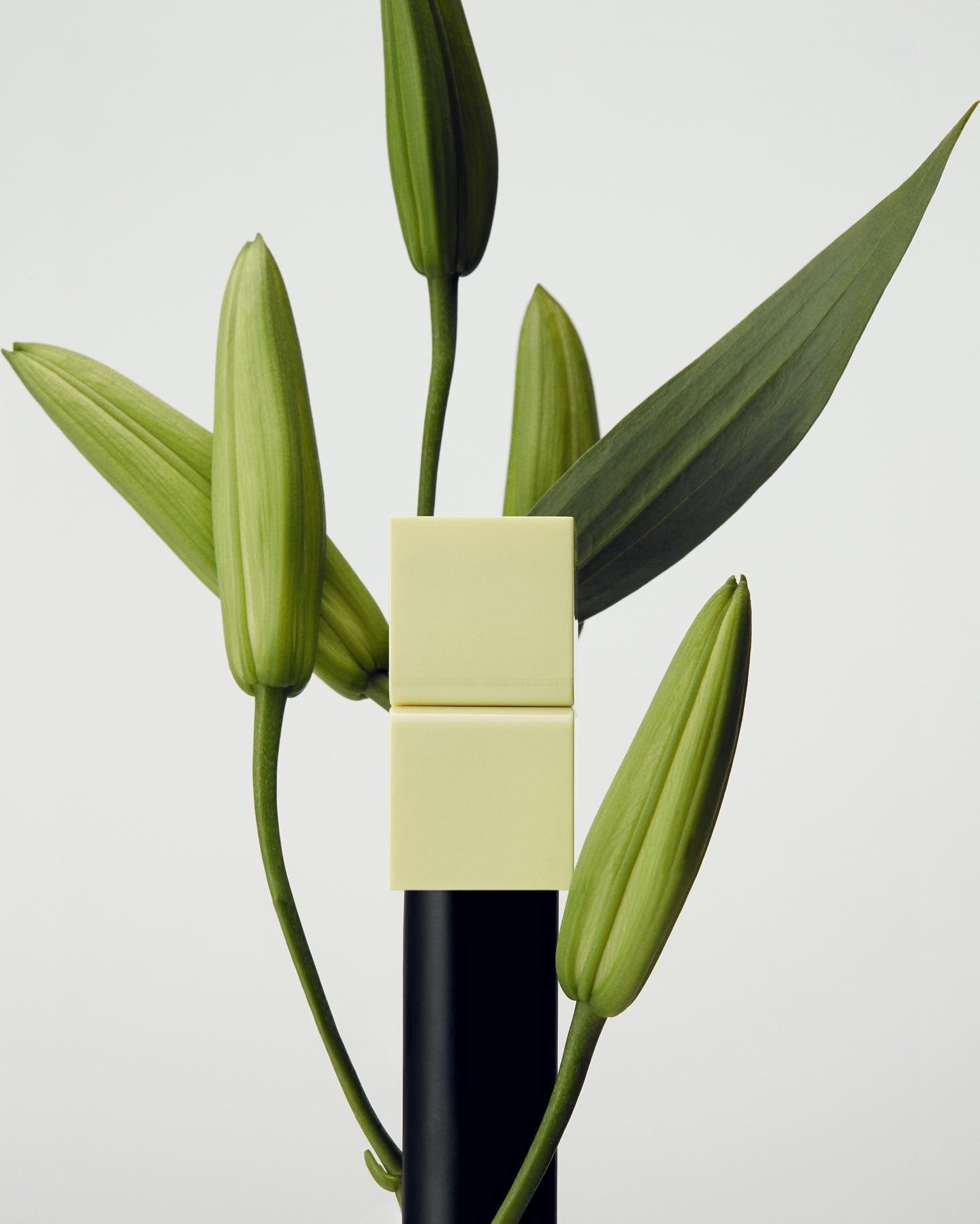Nước Hoa Sáp Tamburins Lale Perfume Balm-Kallos