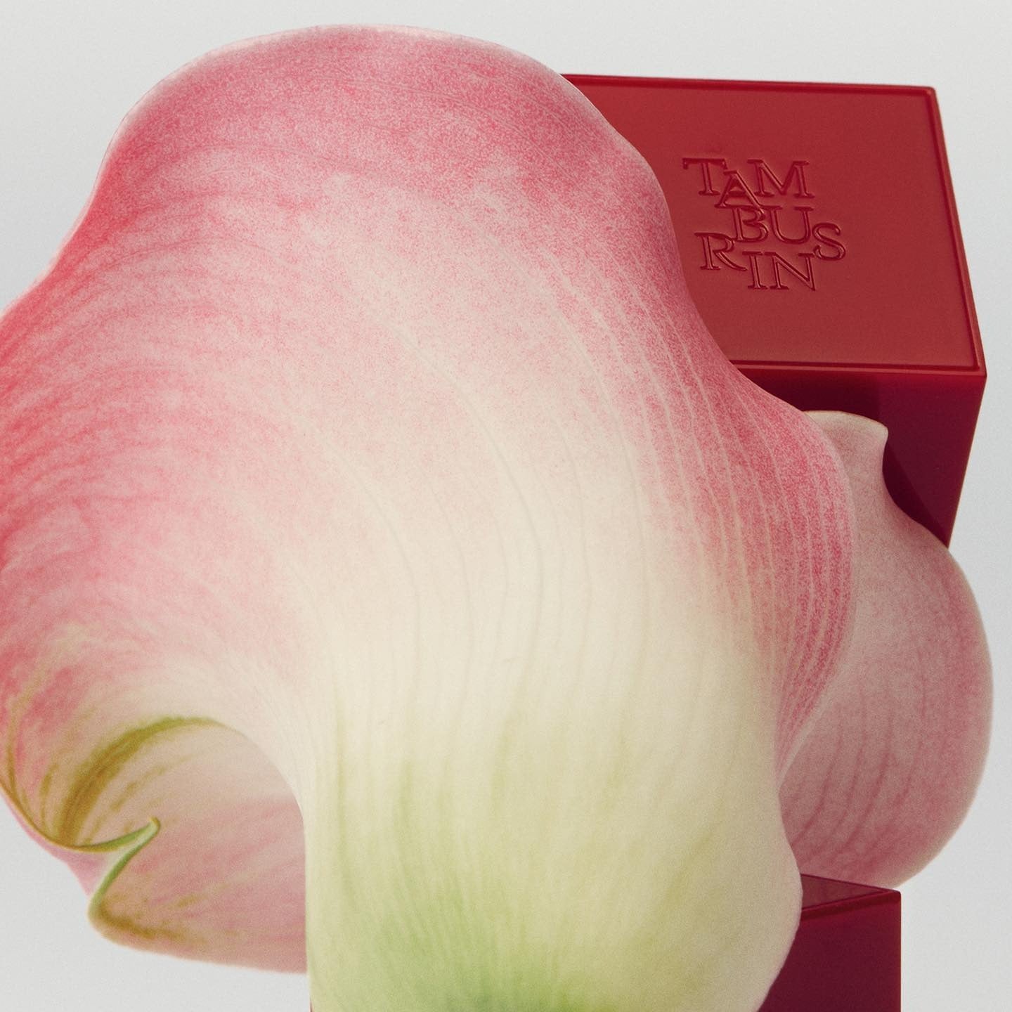Nước Hoa Sáp Tamburins Suede Pear Perfume Balm-Kallos