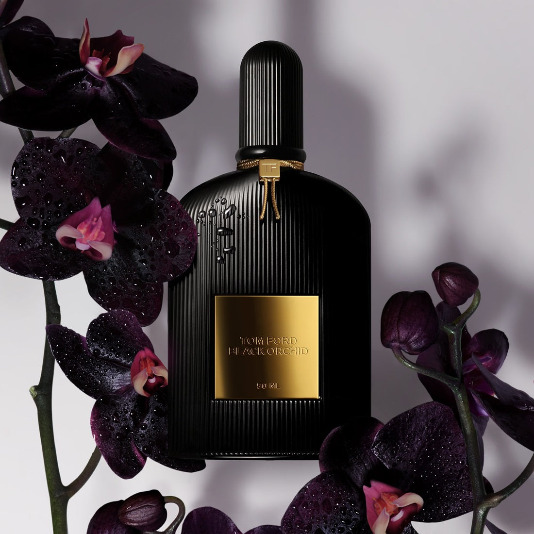 Nước Hoa TOM FORD Black Orchid Eau De Parfum #10 mL