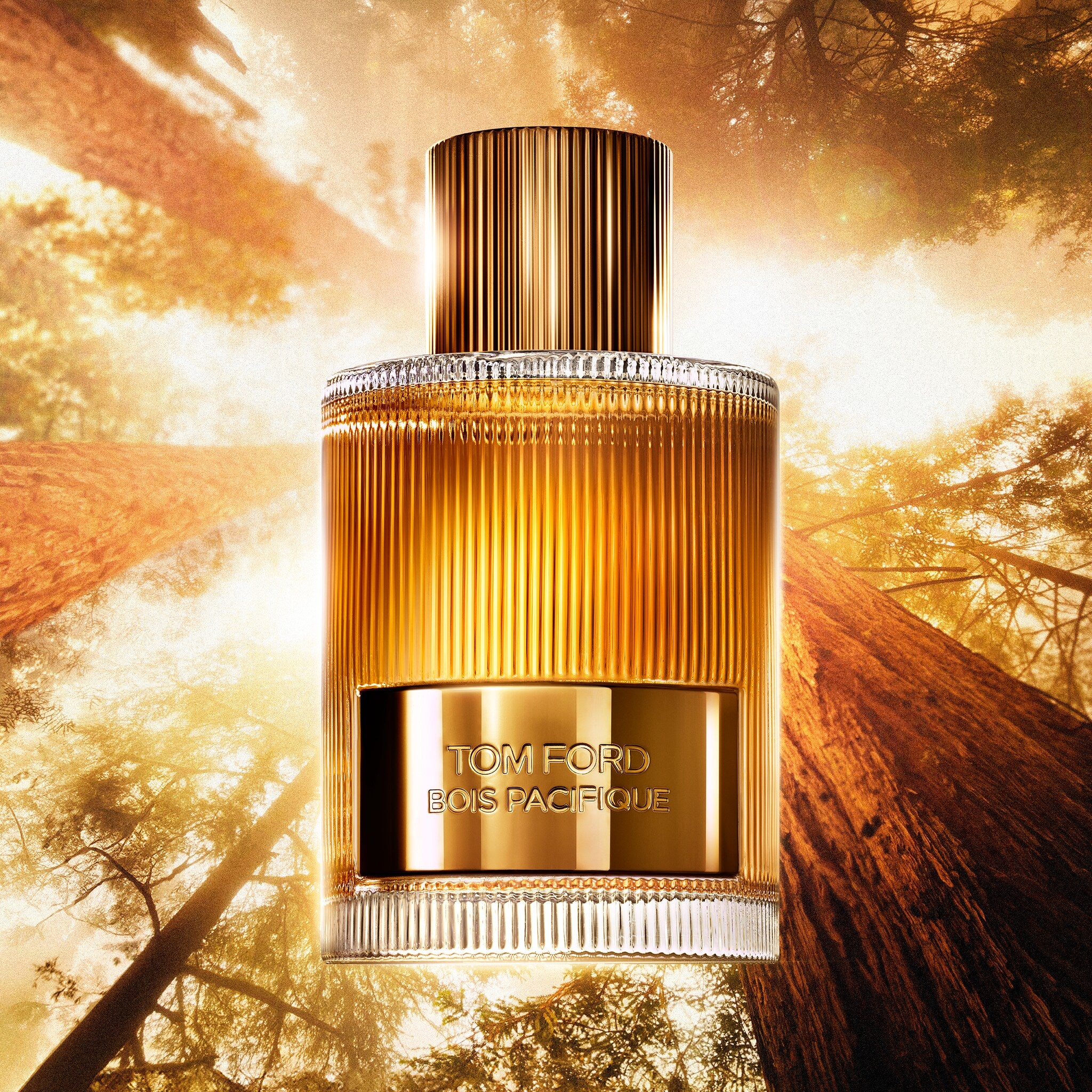 Nước Hoa TOM FORD Bois Pacifique Eau de Parfum #100 mL - Kallos Vietnam