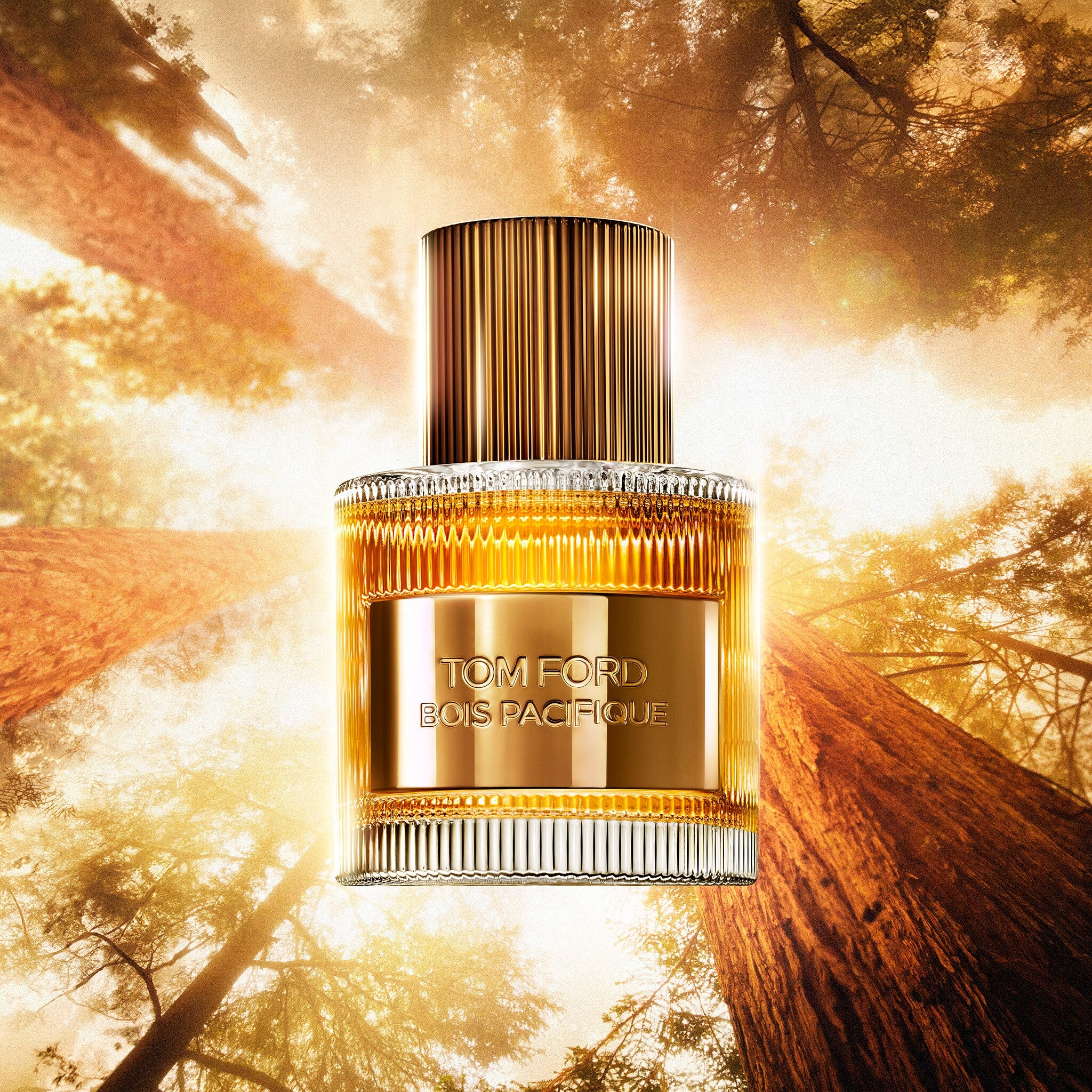 Nước Hoa TOM FORD Bois Pacifique Eau de Parfum #50 mL - Kallos Vietnam