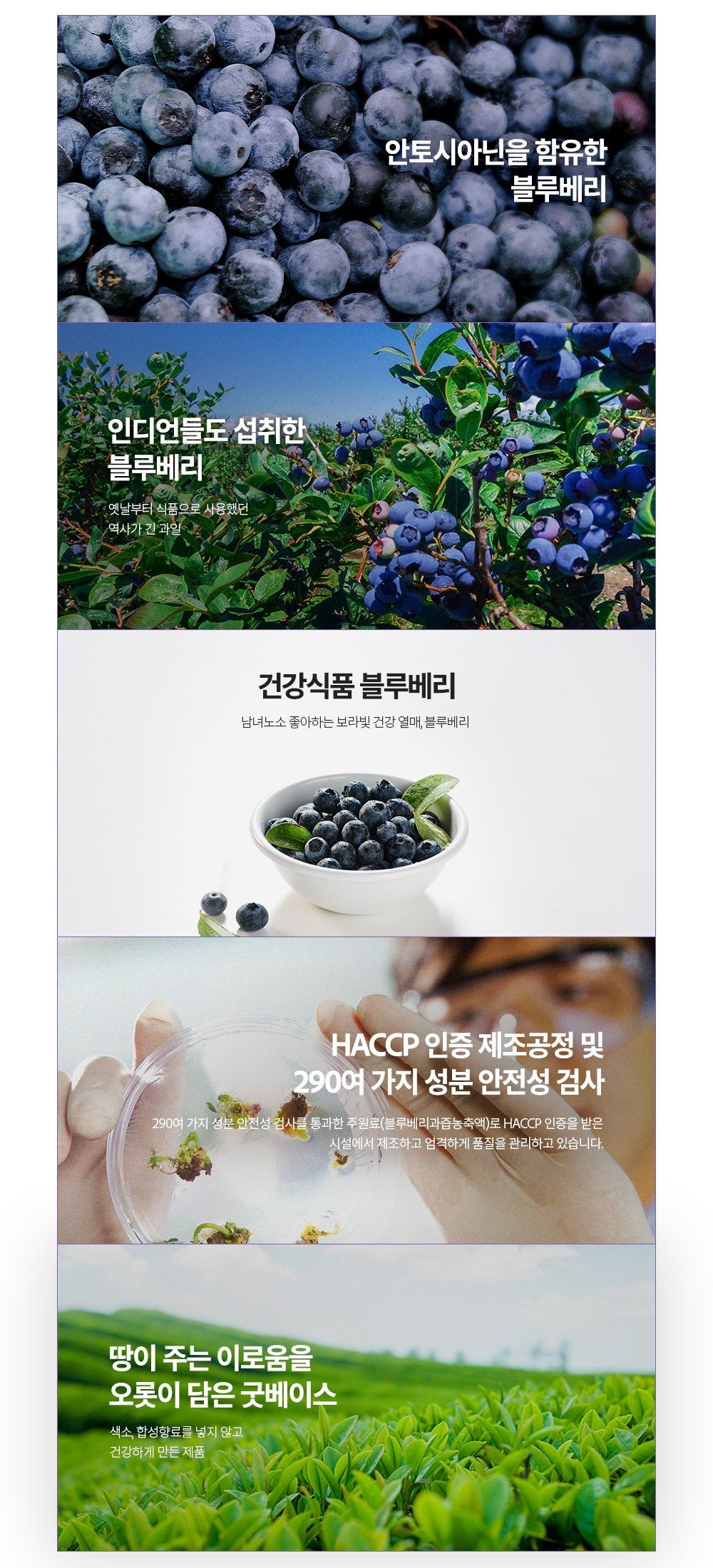 Nước KGC Good Base Red Ginseng Blueberry #30 Pouches-Kallos