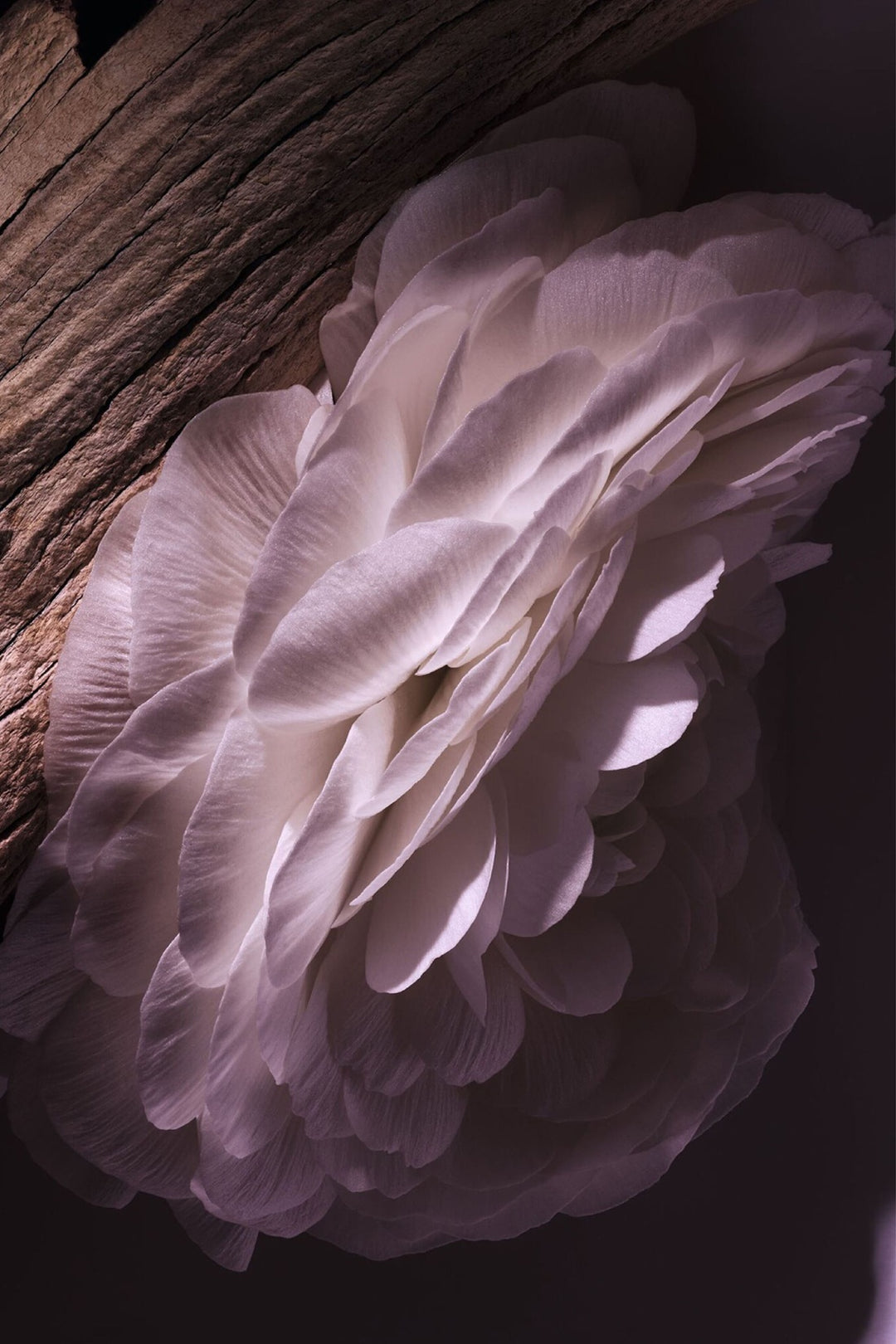 Nước Rửa Tay Dior Gris Dior Liquid Hand And Body Soap