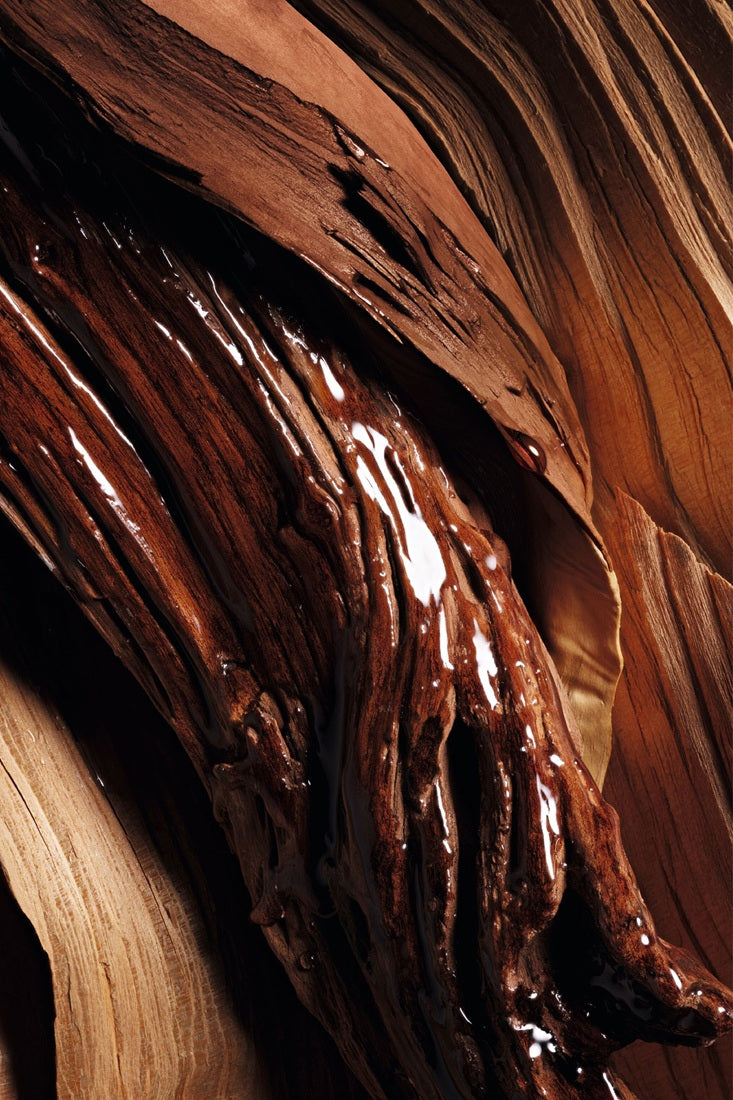 Nước Rửa Tay DIOR Oud Rosewood Liquid Hand And Body Soap