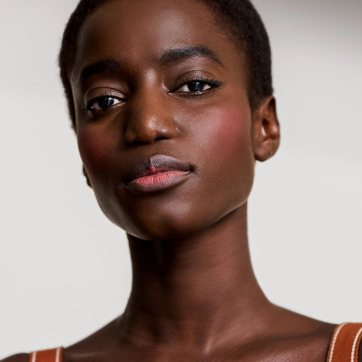 Phấn Má Hồng HERMÈS Rose Hermès Silky Blush Powder 