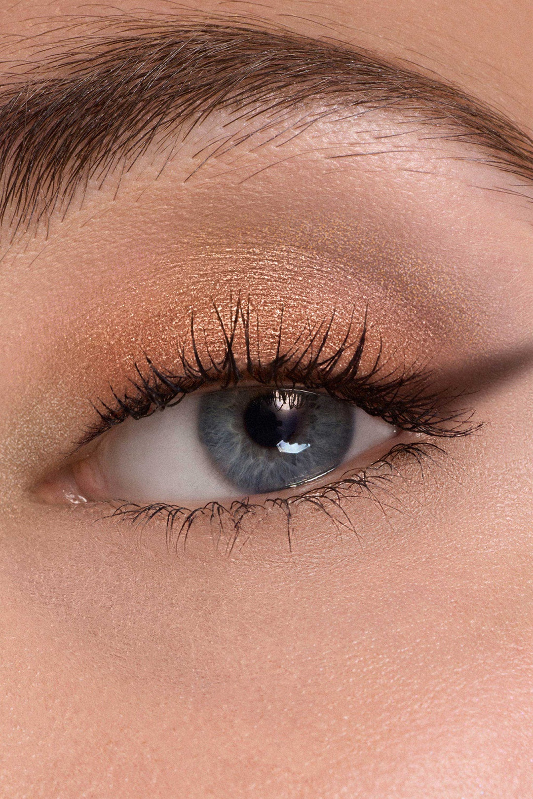 Phấn Mắt DIOR Diorshow 5 Couleurs #563 Brown Brocart