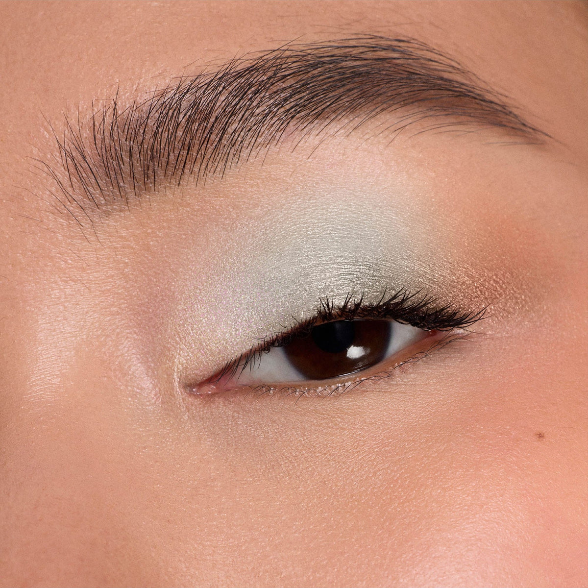 Phấn Mắt DIOR Diorshow 5 Couleurs #645 Mint Bubblegum