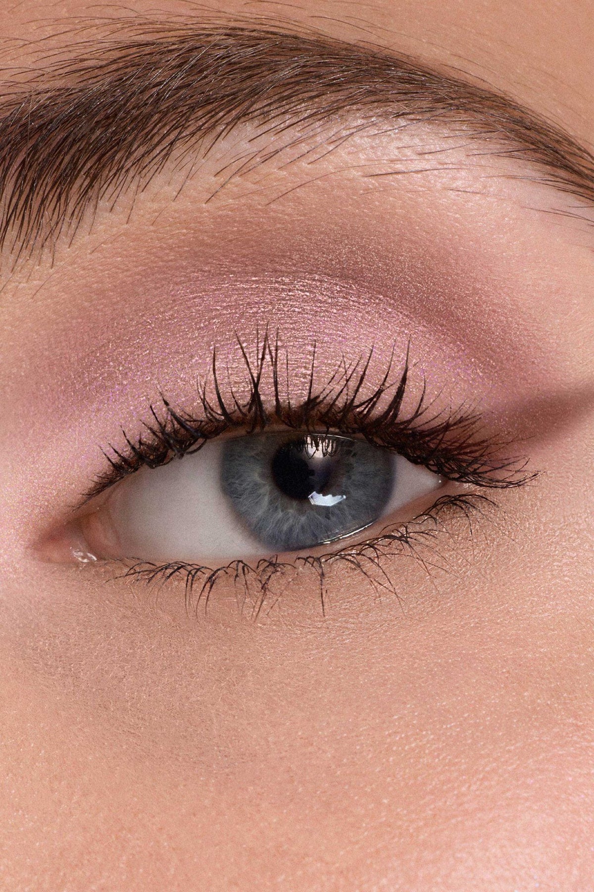 Phấn Mắt DIOR Diorshow 5 Couleurs #855 Rose Moiré