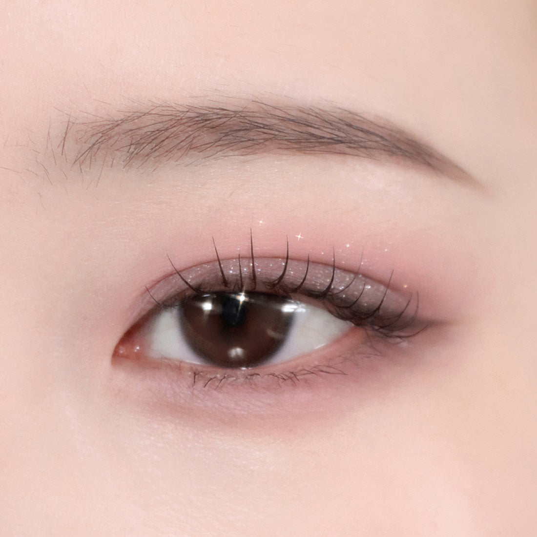 Phấn Mắt ESPOIR Eye Core Palette #2 Savage Mauve - Kallos Vietnam