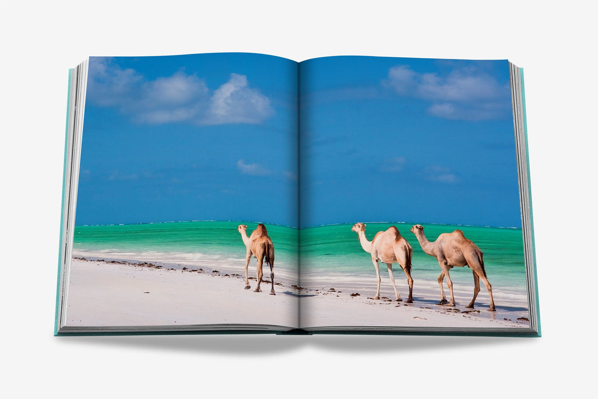 Sách ASSOULINE Saudi Arabia: Red Sea, The Saudi Coast