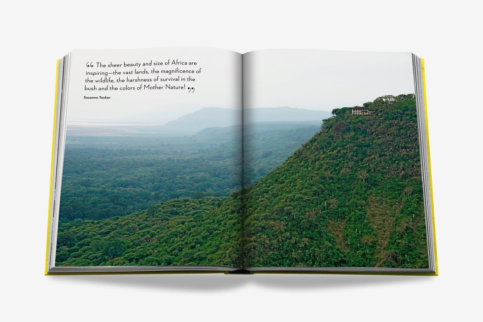 Sách ASSOULINE Travel by Design - Kallos Vietnam
