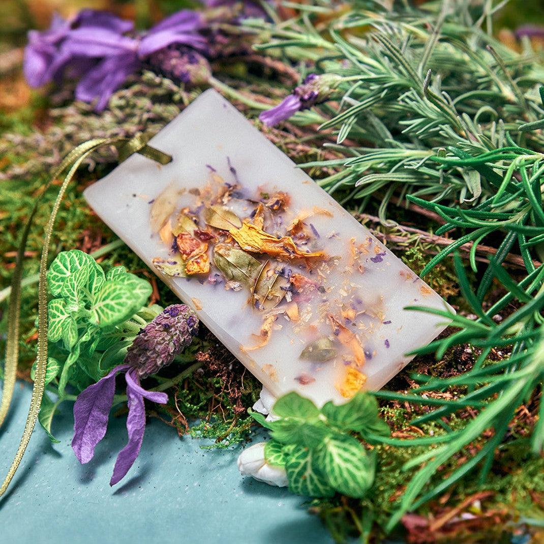 Sáp Thơm Santa Maria Novella Pot Pourri Scented Wax Tablets-Kallos