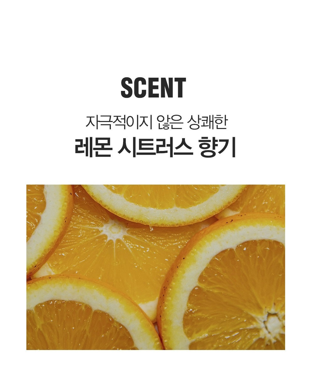 Sáp Vuốt Tóc DASHU For Men Premium Wild Design Mucle Wax