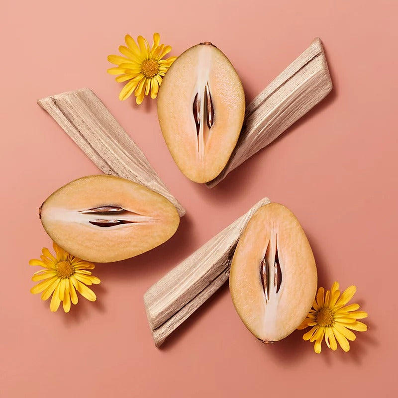 Son HERMÈS Hermèsistible Infused Care Oil #01 Beige Sapotille