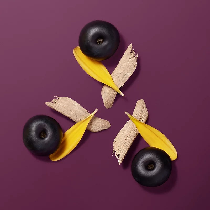 Son HERMÈS Hermèsistible Infused Care Oil #06 Pourpre Camarine