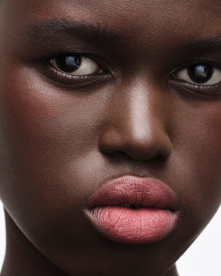 Son PRADA Monochrome Soft Matte Lipstick 