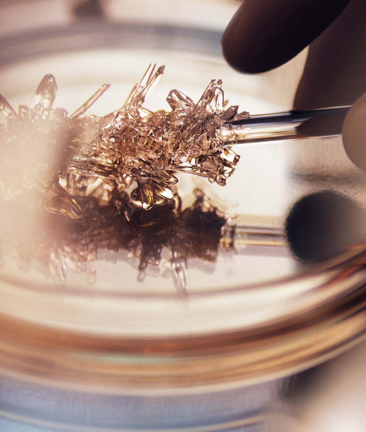 Sữa Dưỡng LA MER Genaissance de la Mer The Infused Lotion 