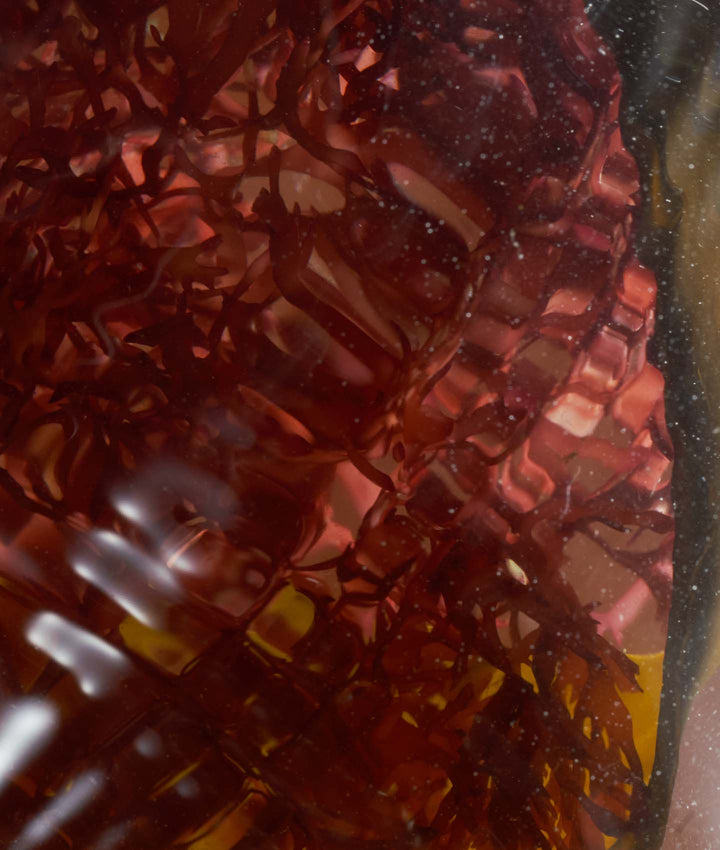 Sữa Dưỡng LA MER Genaissance de la Mer The Infused Lotion 