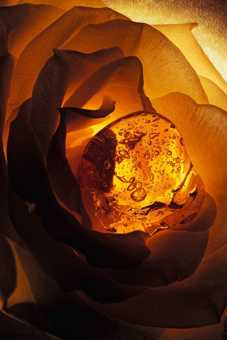 Sữa Dưỡng Thể DIOR Ambre Nuit Hand And Body Lotion