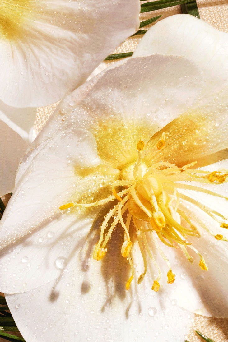 Sữa Dưỡng Thể Dior Eden Roc Hand And Body Lotion