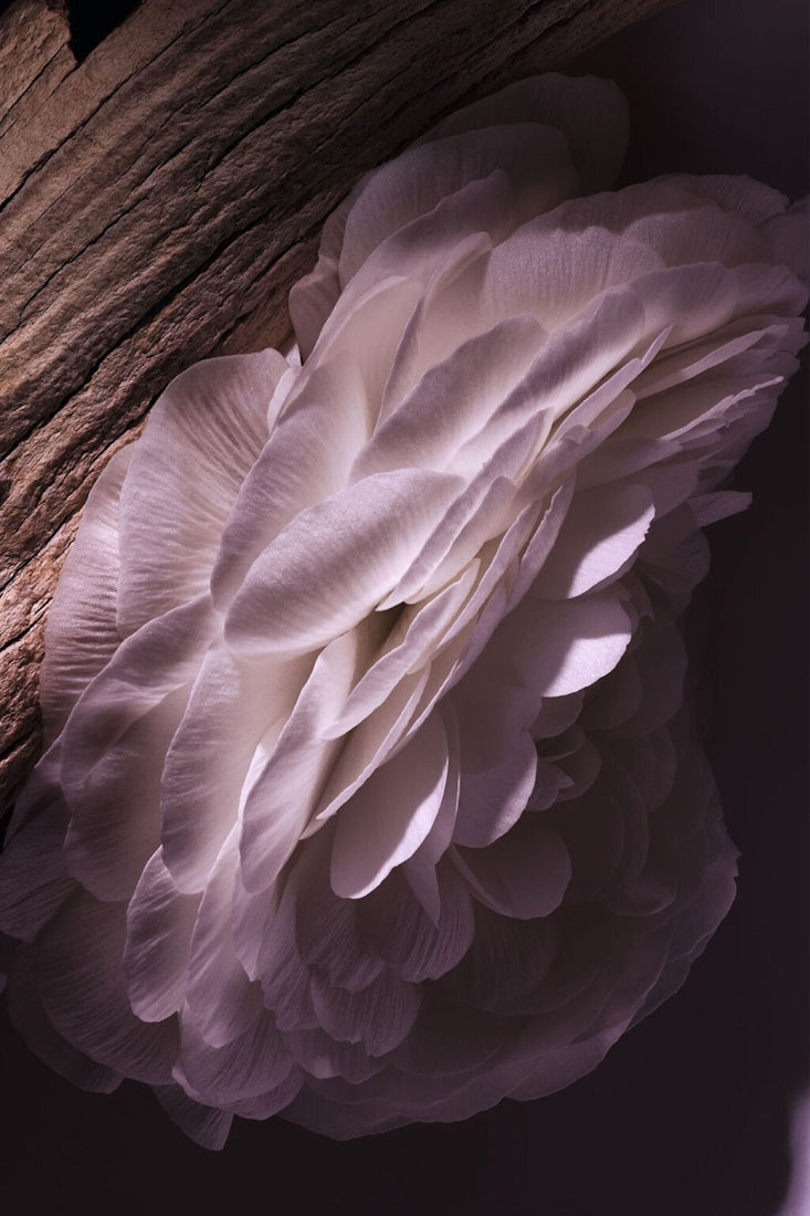 Sữa Dưỡng Thể Dior Gris Dior Hand And Body Lotion