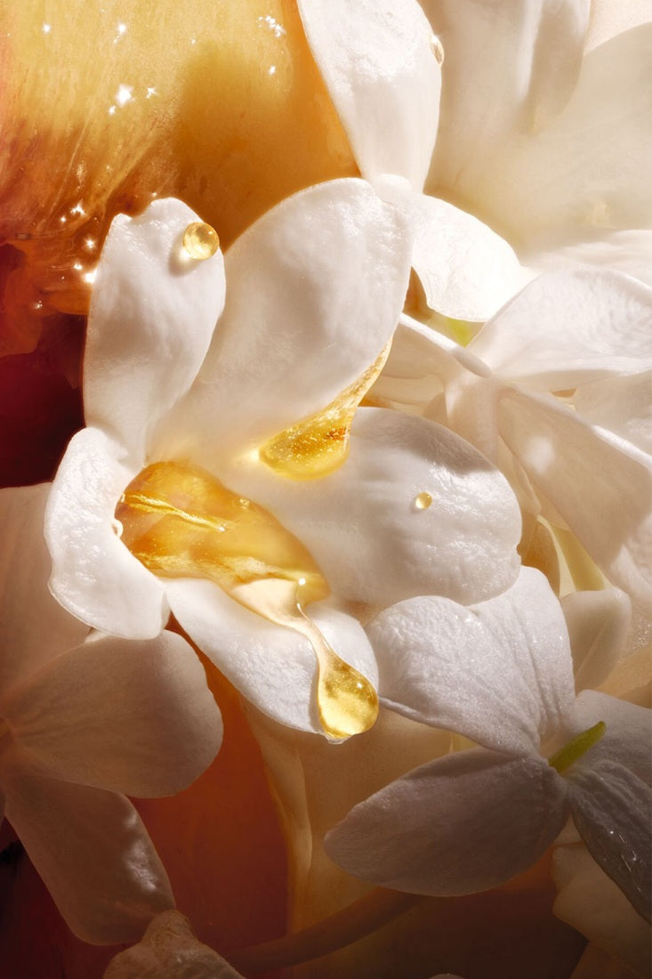 Sữa Dưỡng Thể Dior Jasmin des Anges Hand And Body Lotion