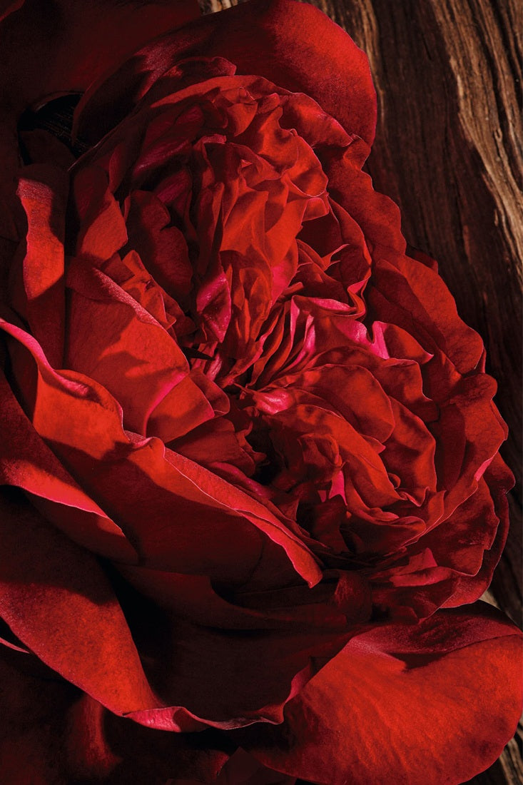 Sữa Dưỡng Thể Dior Oud Ispahan Hand And Body Lotion