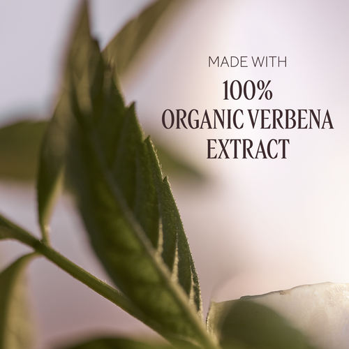 Sữa Dưỡng Thể L'OCCITANE Verbena Body Lotion