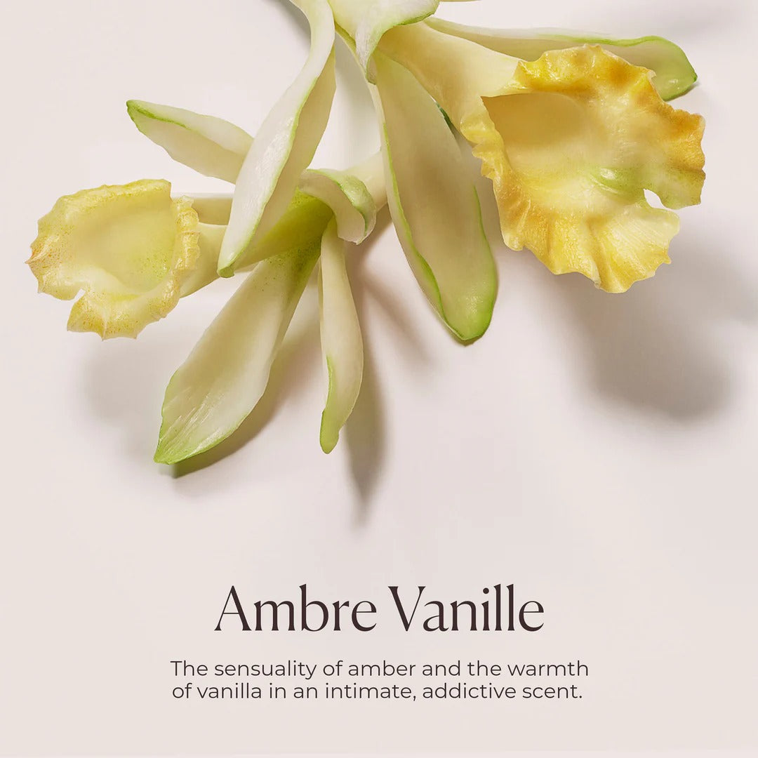 Sữa Tắm Laura Mercier Ambre Vanille Honey Bath