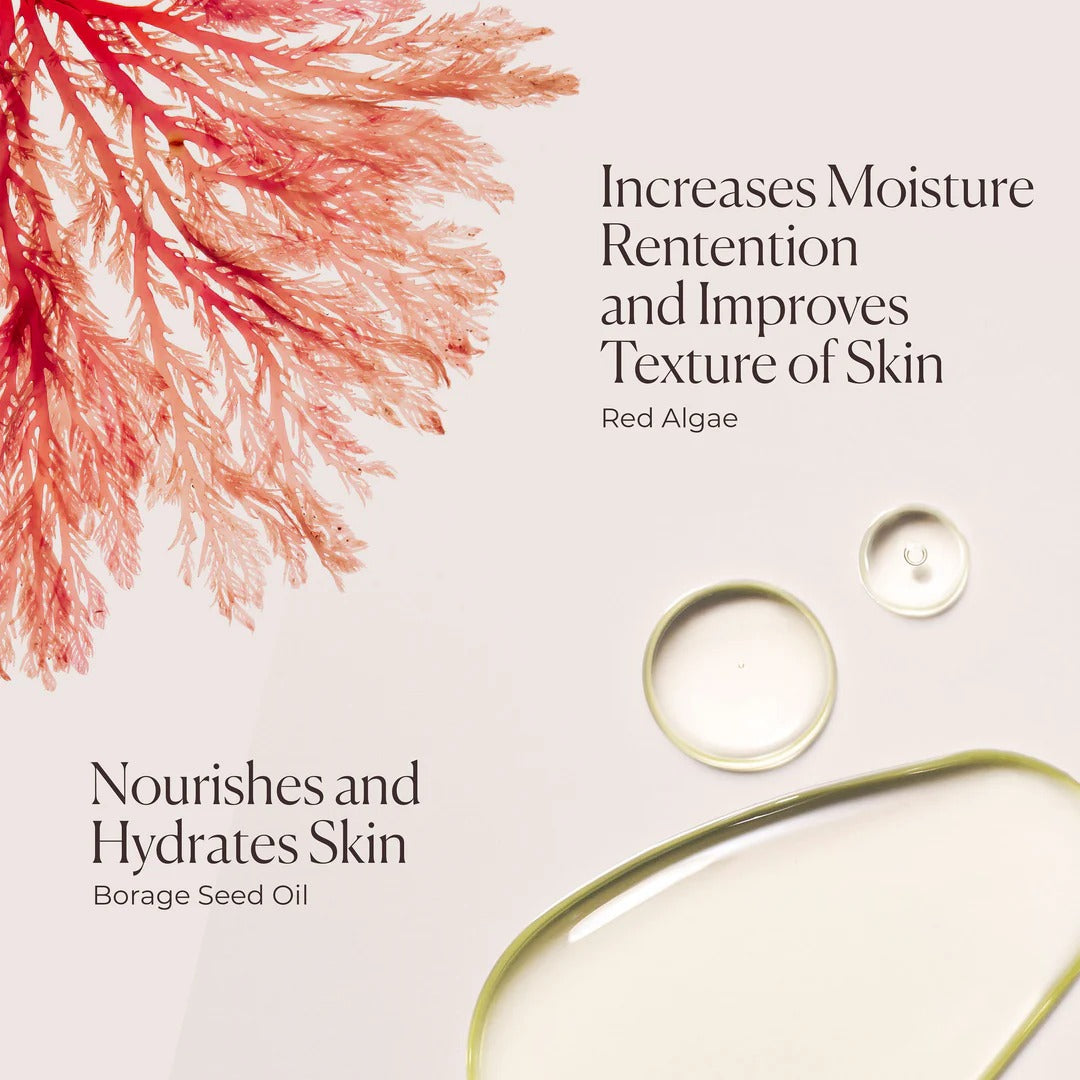 Sữa Tắm Laura Mercier Ambre Vanille Honey Bath